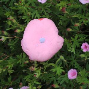 Vaaleanpunainen unelma